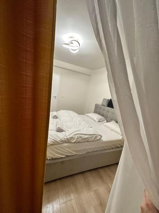 טימישוארה Ultracentral Luxury Apartament מראה חיצוני תמונה