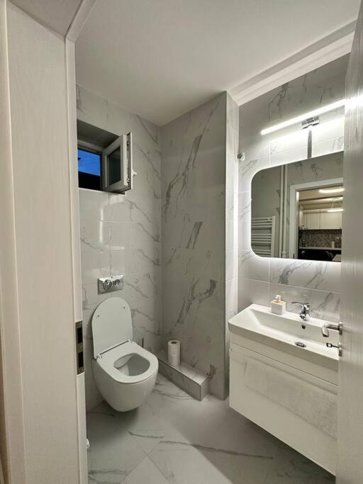 טימישוארה Ultracentral Luxury Apartament מראה חיצוני תמונה