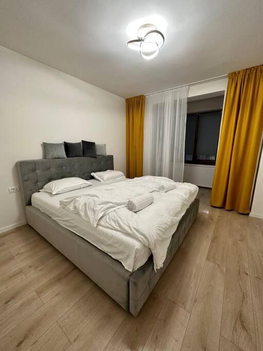 טימישוארה Ultracentral Luxury Apartament מראה חיצוני תמונה