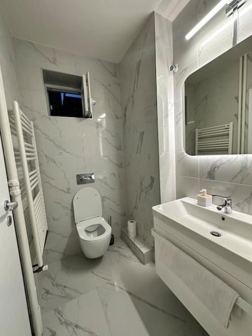 טימישוארה Ultracentral Luxury Apartament מראה חיצוני תמונה