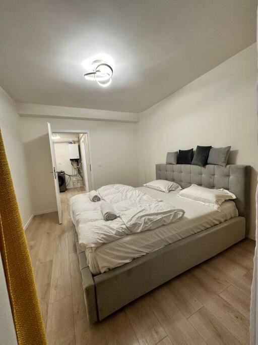 טימישוארה Ultracentral Luxury Apartament מראה חיצוני תמונה